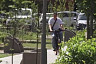 В сквере Энгельса высадили березы и установили лавочки