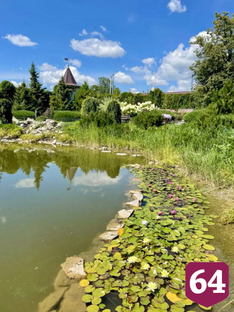 Саратовцы увидели жемчужину Хвалынска