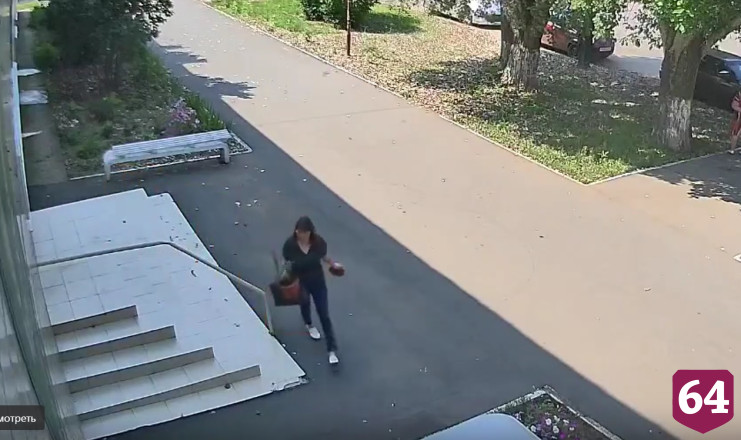 Горожанка «под прикрытием» унесла из аптеки цветок и попала на камеру